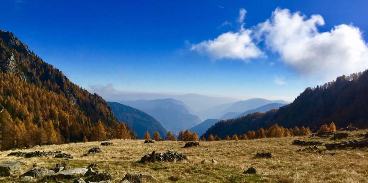 Taxus Hostel Pieve Tesino Eksteriør bilde