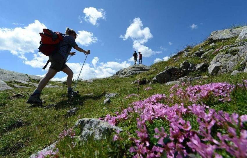 Taxus Hostel Pieve Tesino Eksteriør bilde